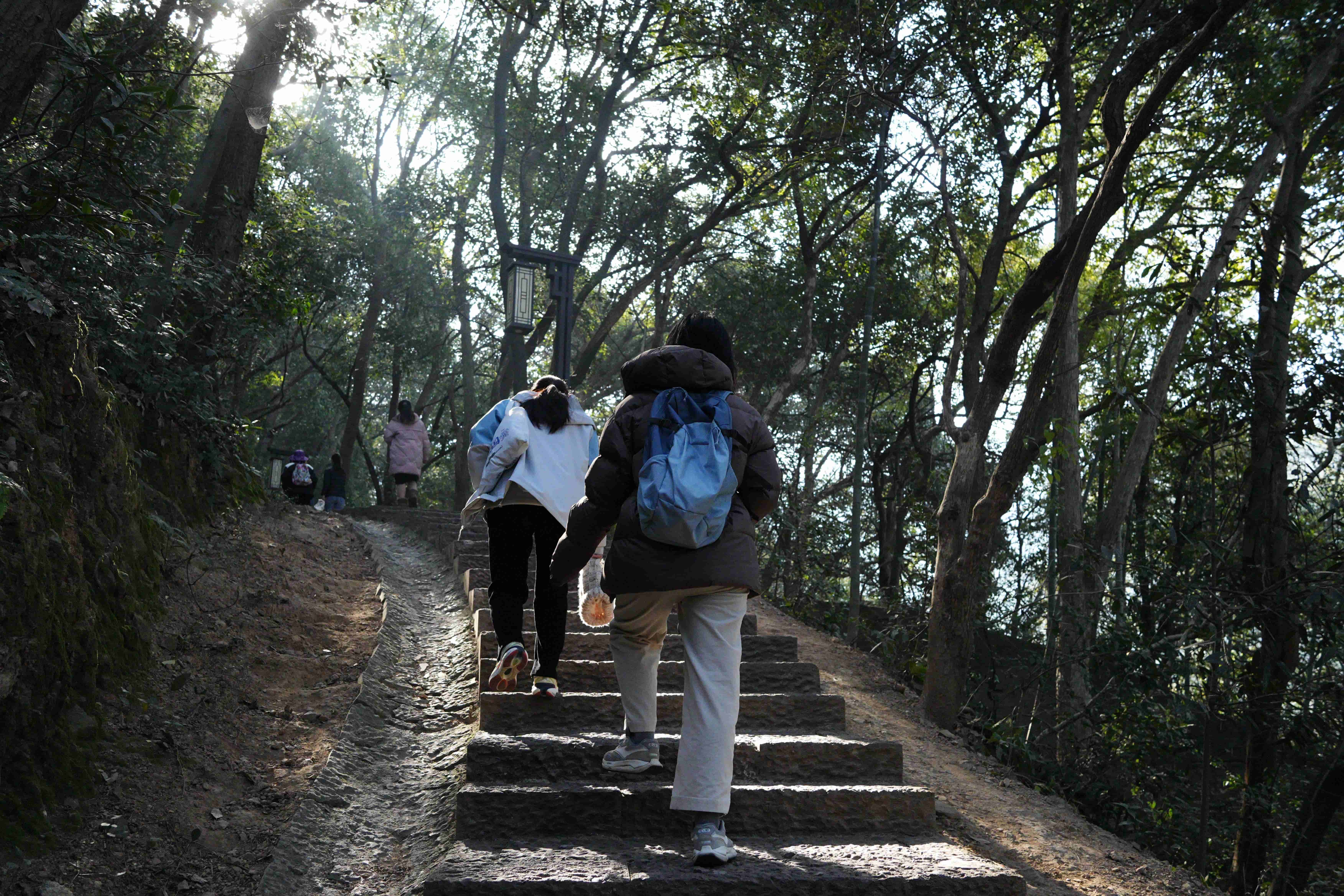 集體登山